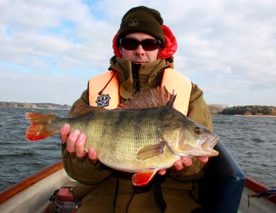 magnificent chew valley perch.jpg